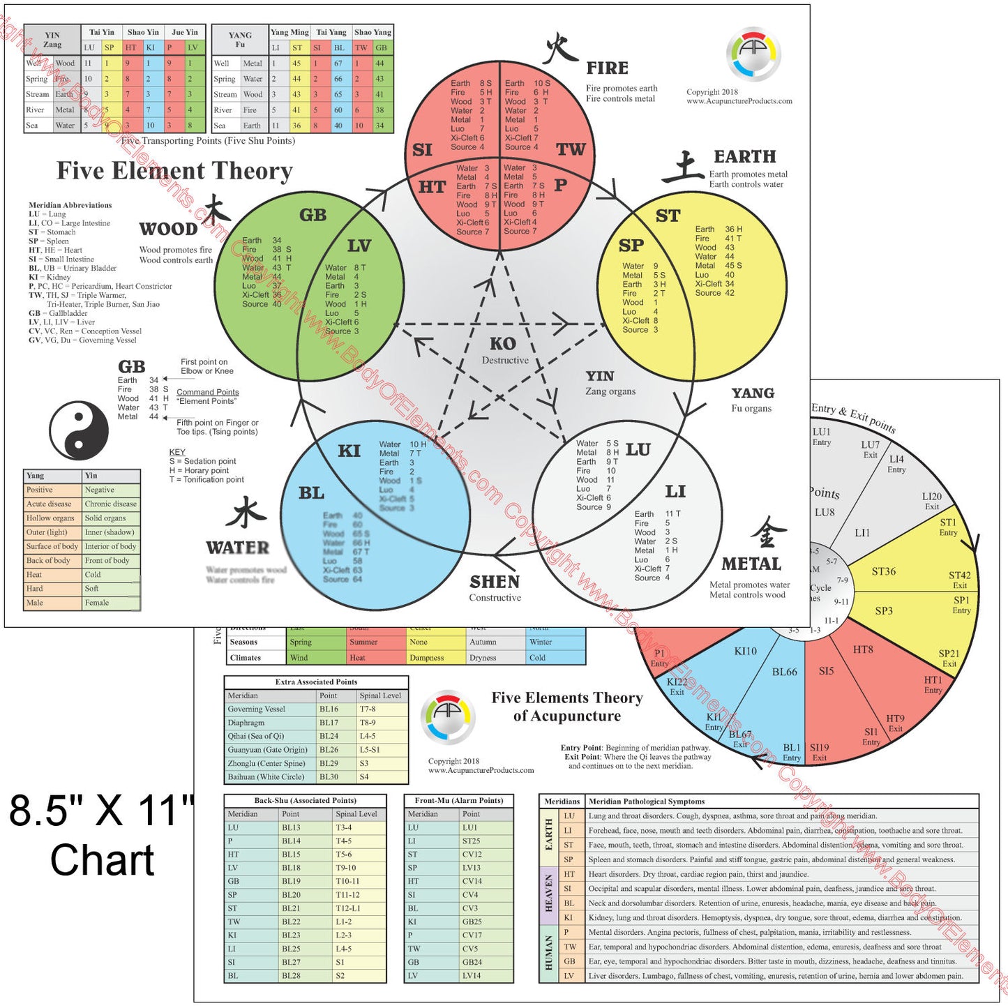 The Five Elements of Acupuncture Chart 8.5" X 11"