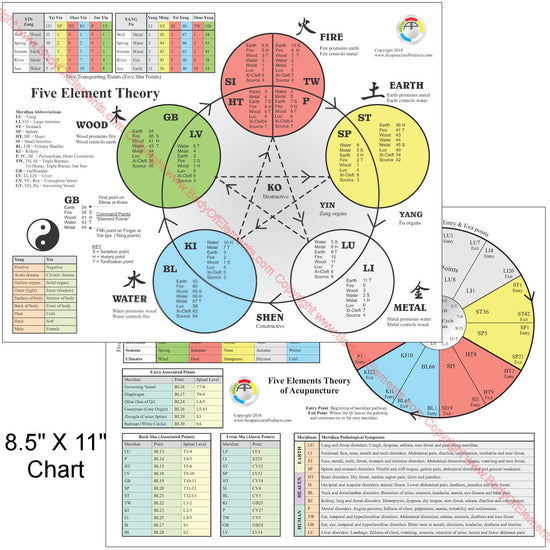 The Five Elements of Acupuncture Chart 8.5" X 11" – Body of Elements