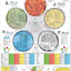 The Five Elements of Acupuncture Poster
