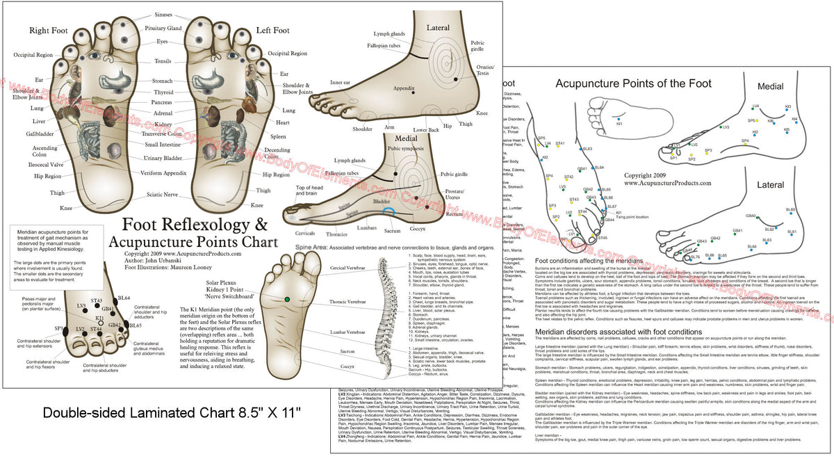 Foot Function Chart.pdf Foot Reflexology and Acupuncture Chart 8.5