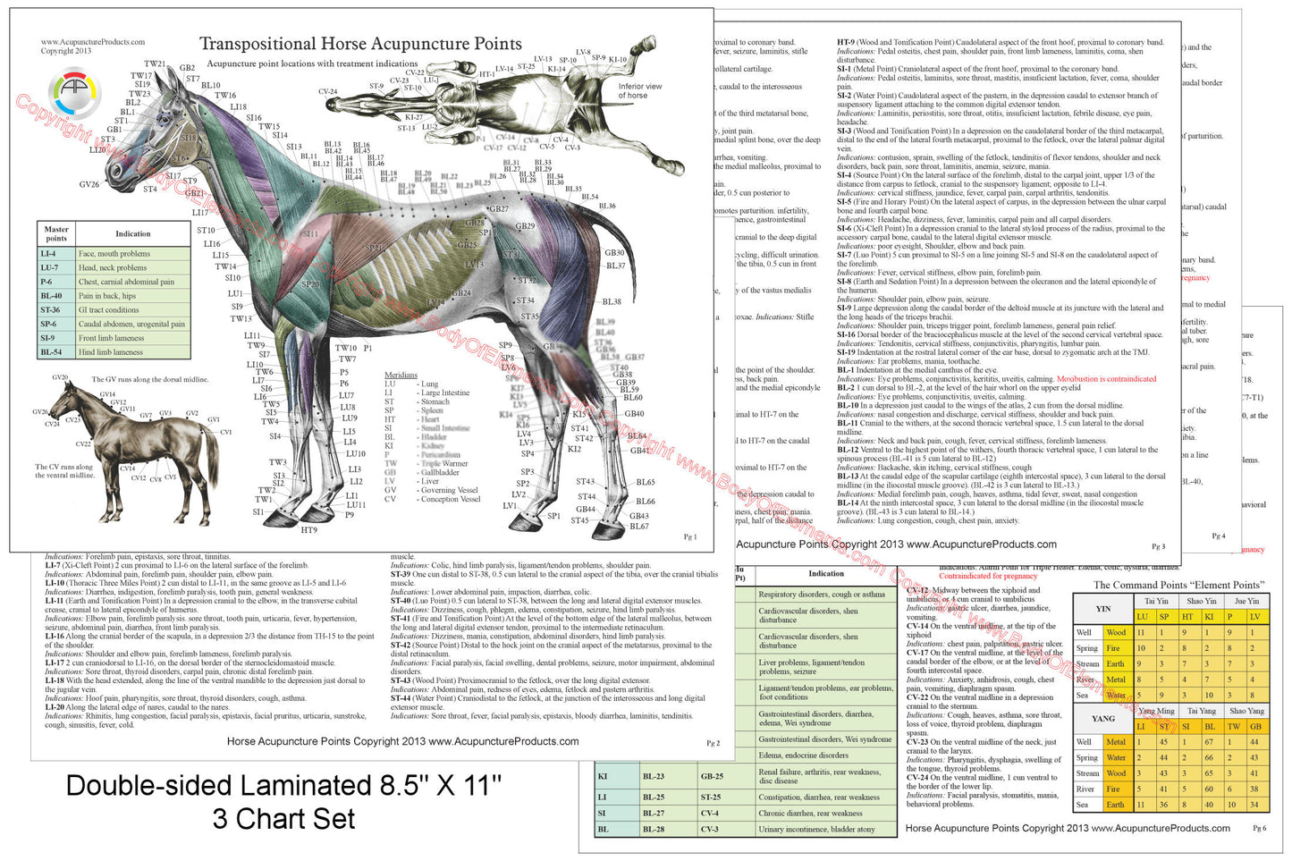 Horse acupuncture points chart set