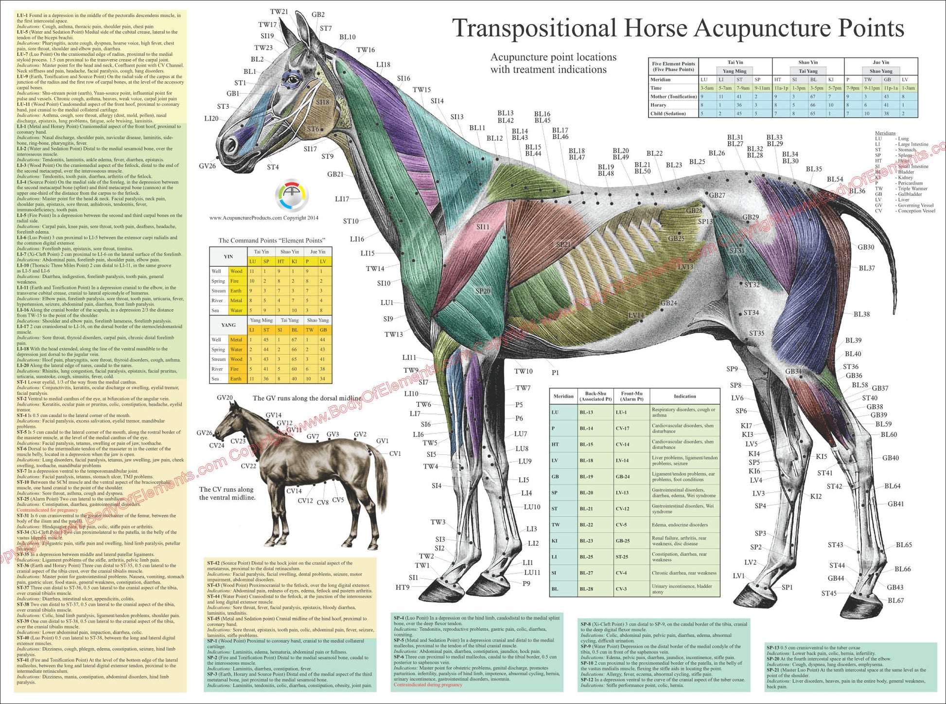 Equine veterinary acupuncture point indications