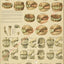 Age of the horse as shown by the teeth chart