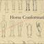 Horse leg conformation wall chart