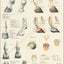 Horse foot and hoof anatomy poster