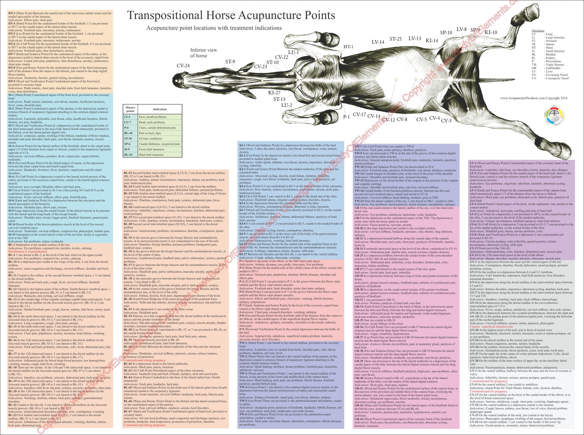 Equine Acupuncture: 17 poster Set. All 12 channels, plus governing cheapest and conception meridians as well as 3 overviews. Horse Acupressure