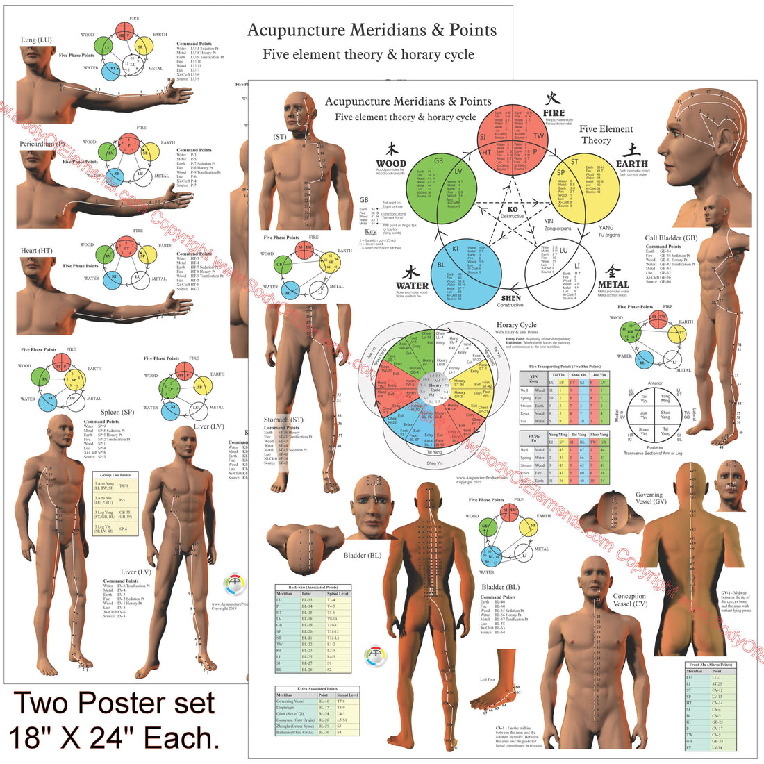 Acupuncture Meridian Points and Pathways Poster – Body of Elements
