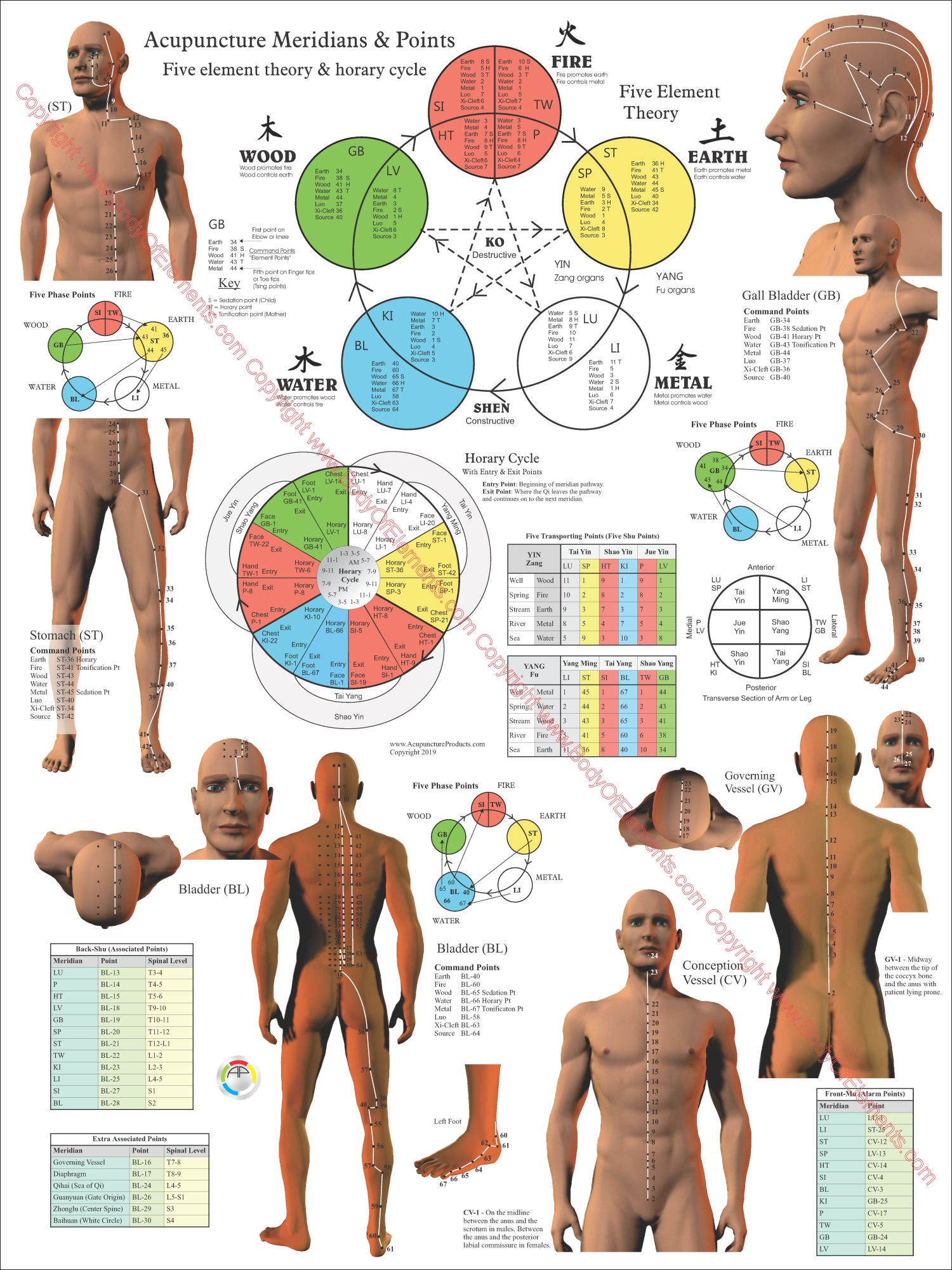 Meridian acupuncture points 5 elements charts