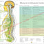 Sistema nervioso autonomo subluxacion vertebral