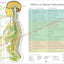 Effects of spinal subluxation wall chart