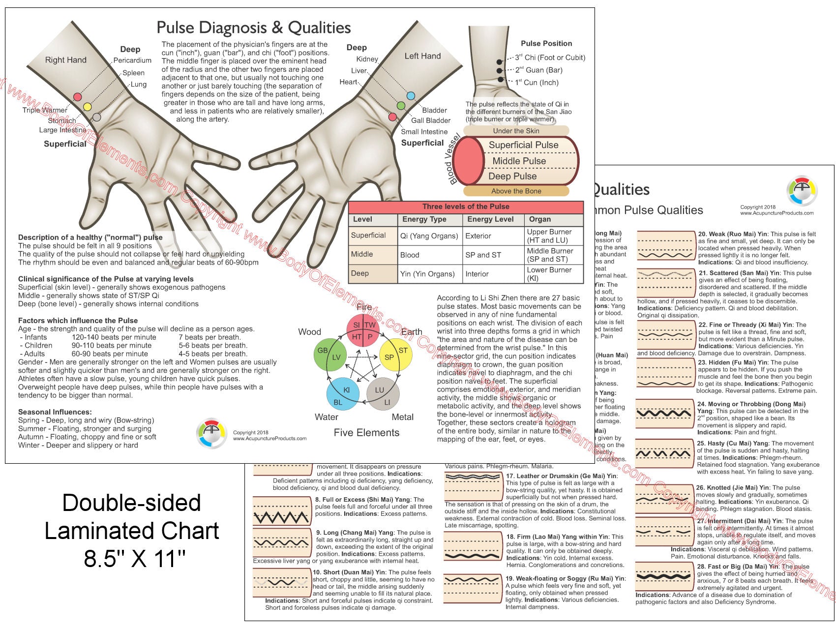 Pulse Diagnosis Acupuncture Chart 8.5" X 11" – Body of Elements