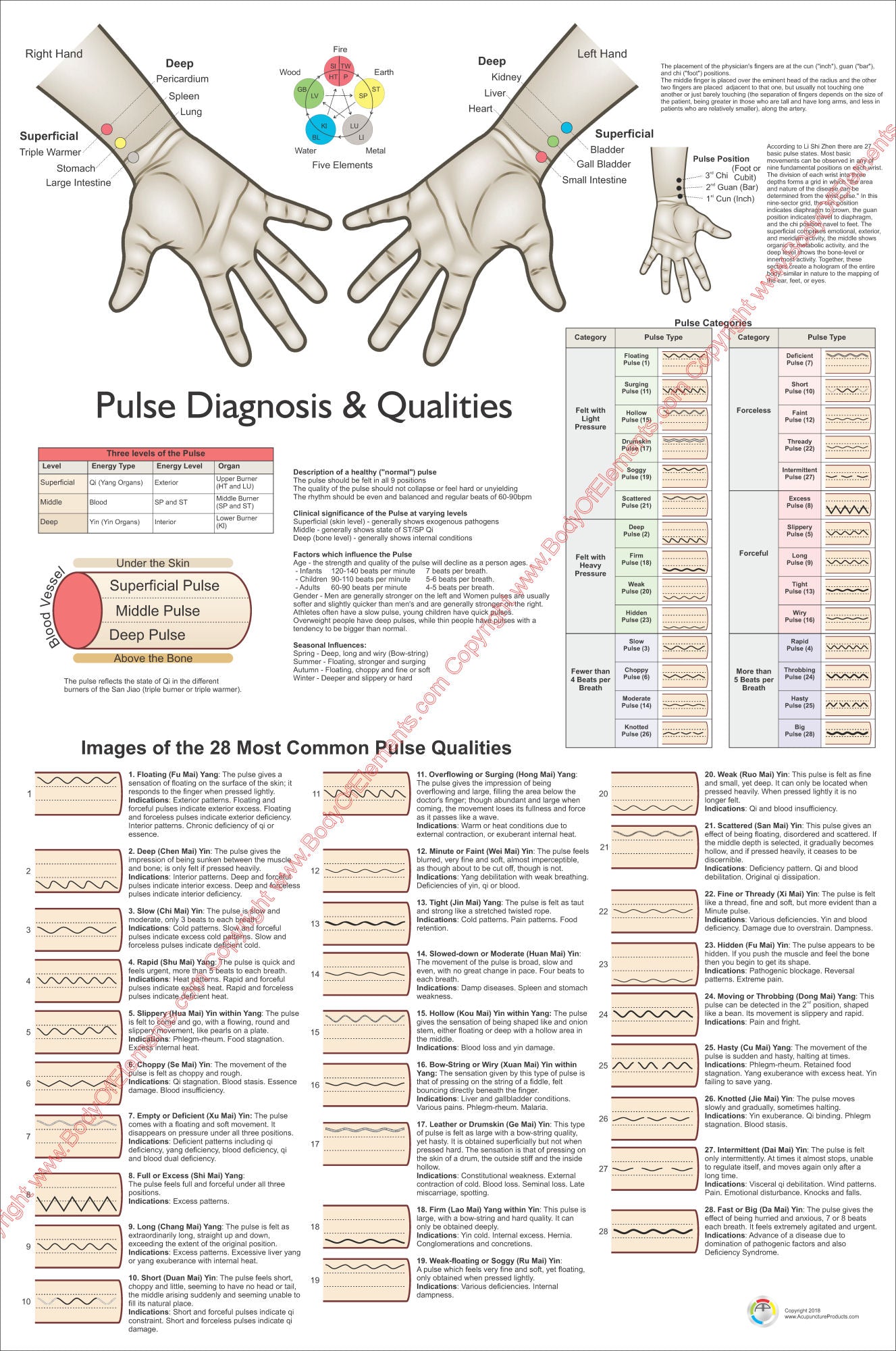 Pulse Diagnosis Acupuncture Poster – Body of Elements