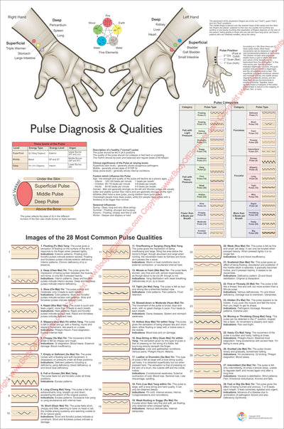 Pulse Diagnosis Acupuncture Poster