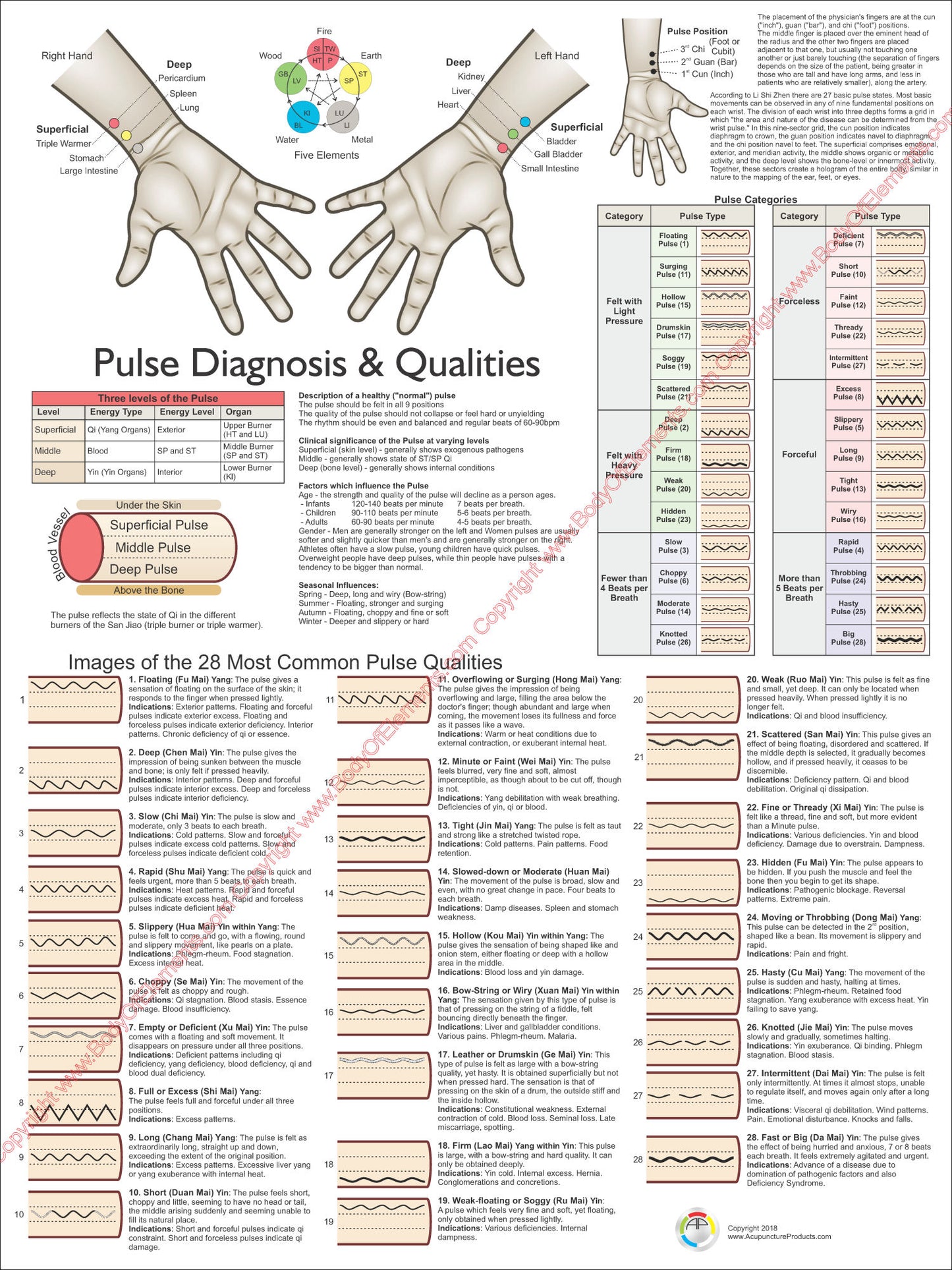 Pulse Diagnosis Acupuncture Poster
