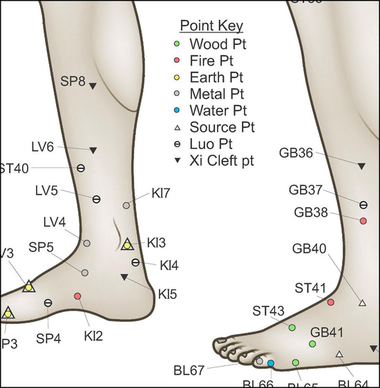 Five Elements of Acupuncture Points Poster – Body of Elements