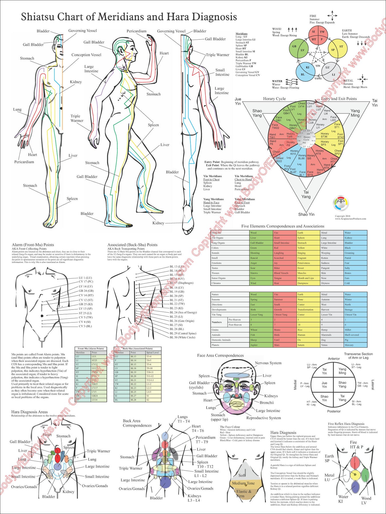 Shiatsu Chart